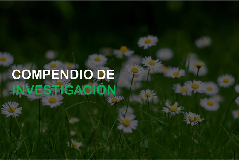 icono