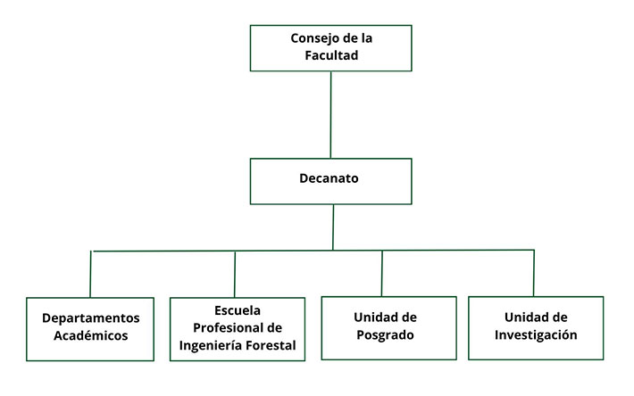 organigrama