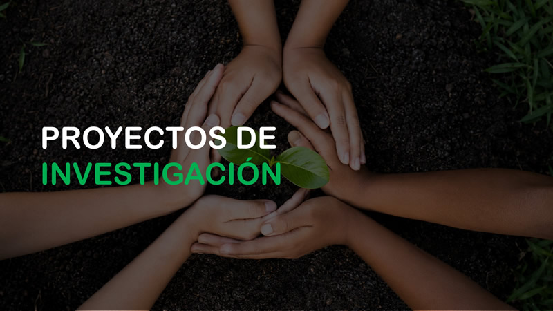 icono