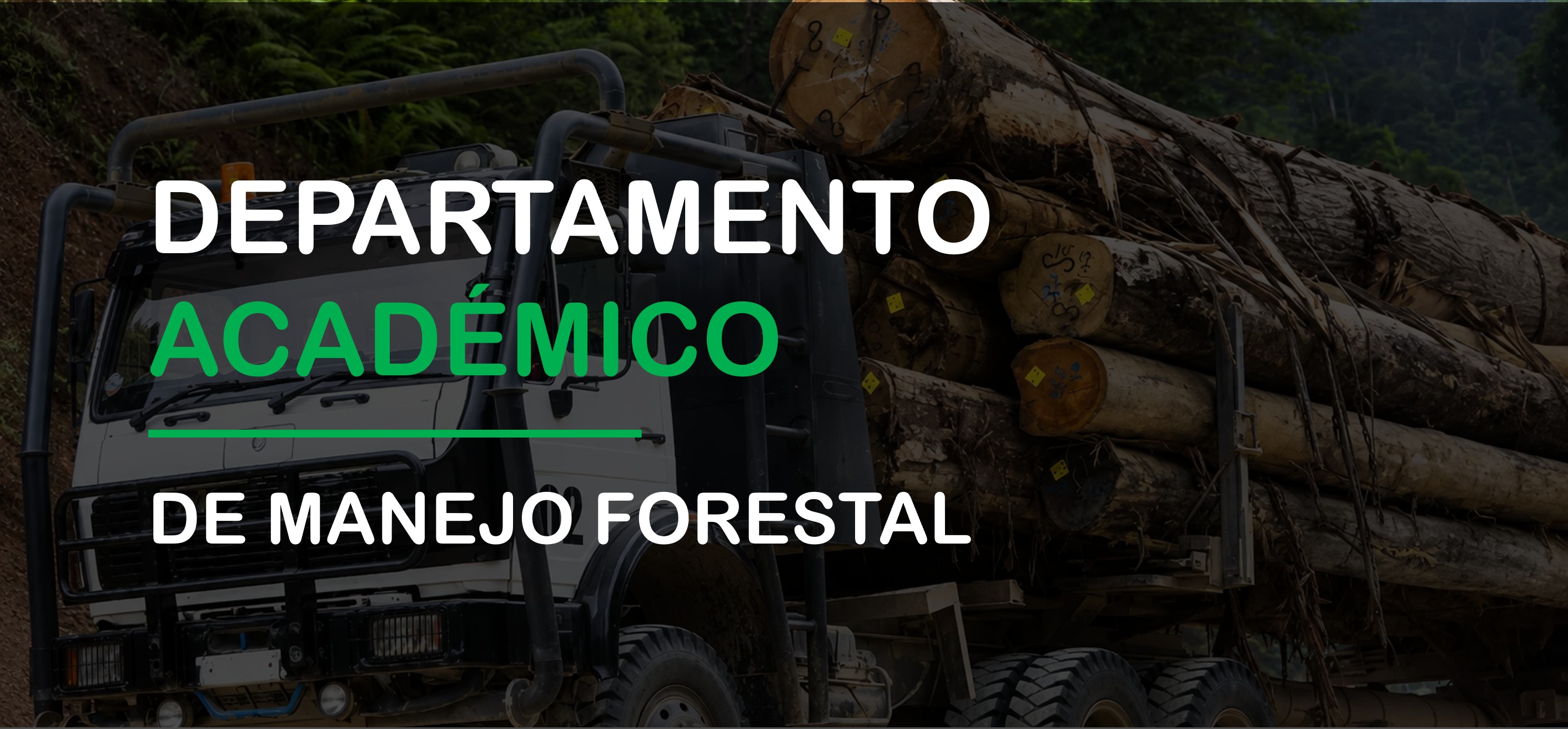 Departamento Académico de Manejo Forestal